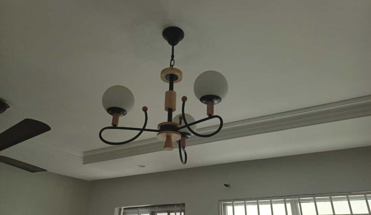 WhatsApp Image 2024-07-18 at 12.53.52